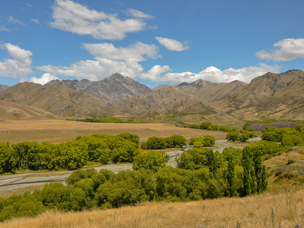 Expansive views of Molesworth Cattle Station on our scenic group tour
