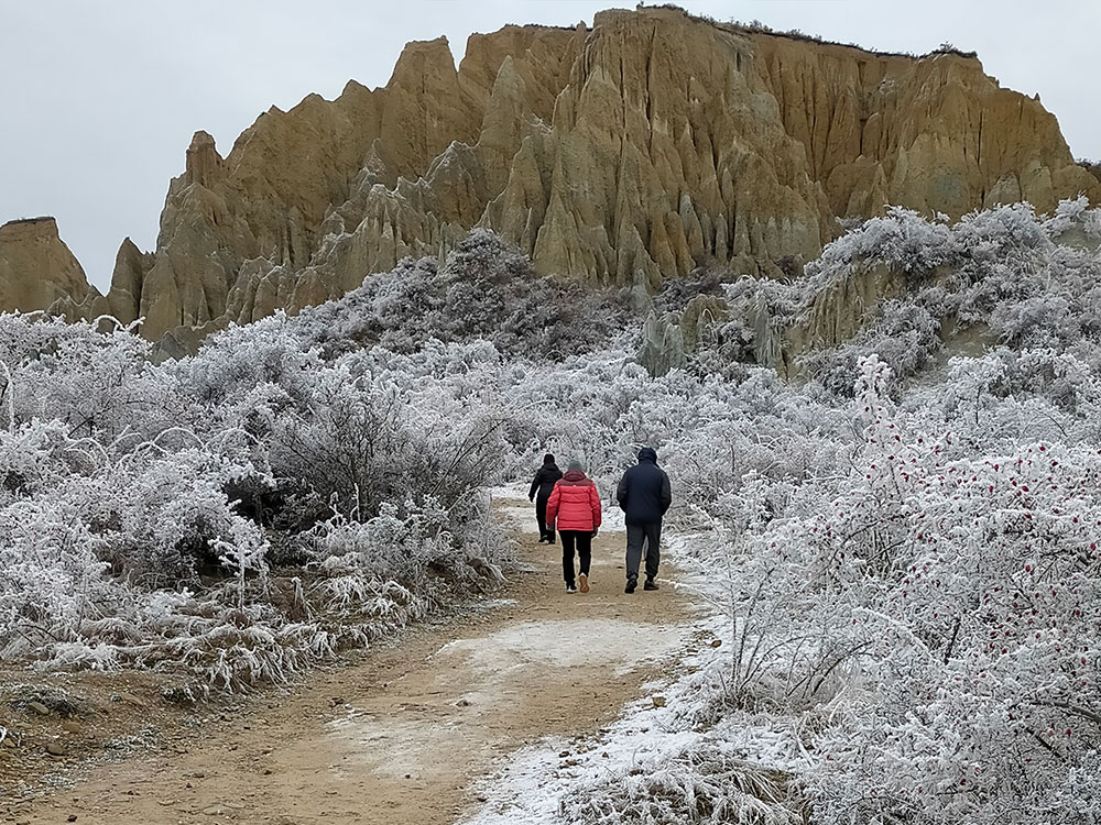 Walking amongst the beautiful hoar frost on our guided Night Sky Tour NZ