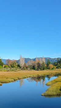 stewart island bus tour